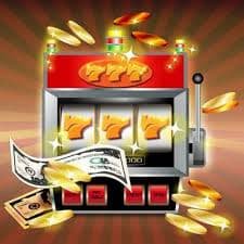 33
winbet
